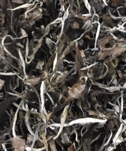 Alternative view of Bạch trà mẫu đơn