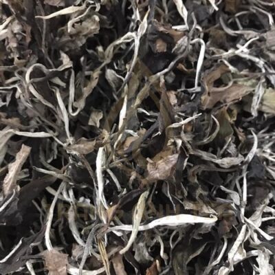 Bạch trà mẫu đơn