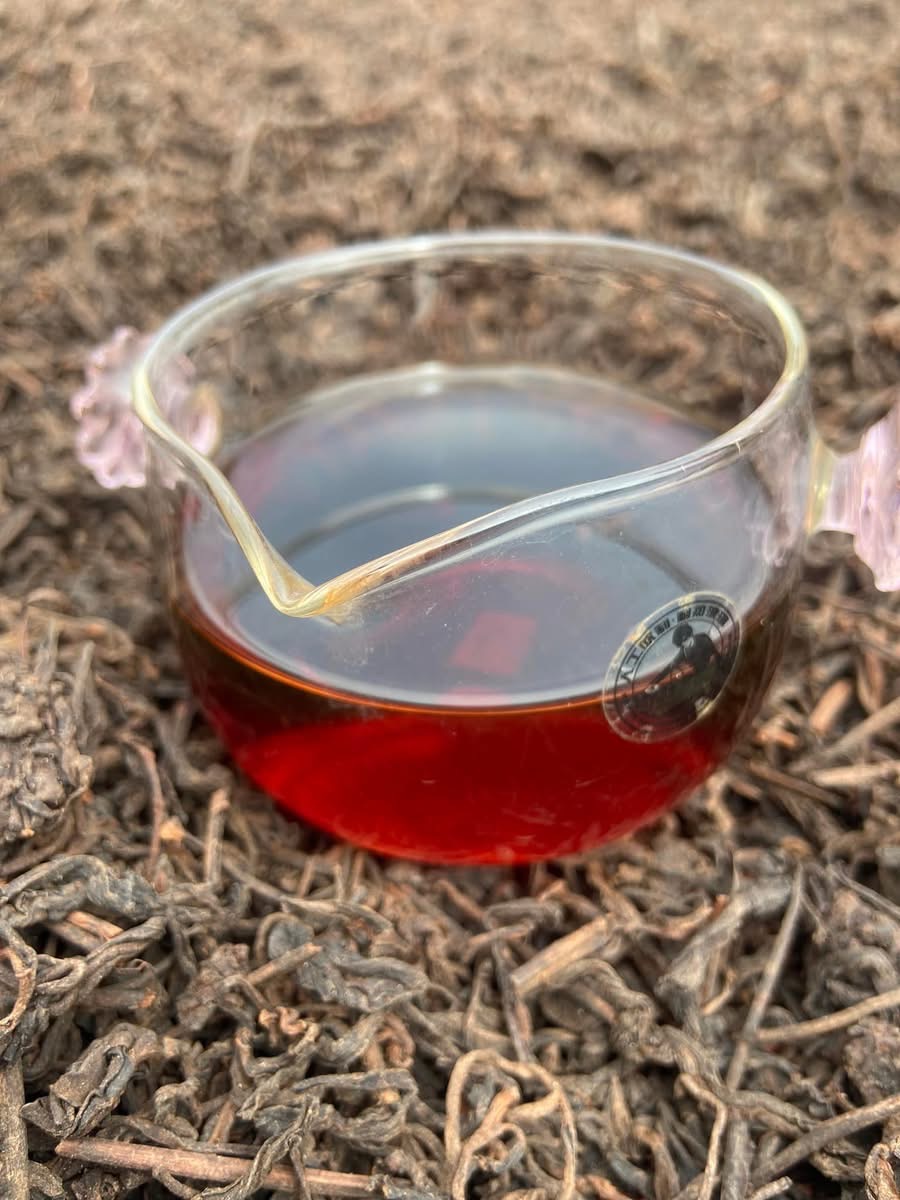 Phổ nhĩ quýt - Ảnh 5