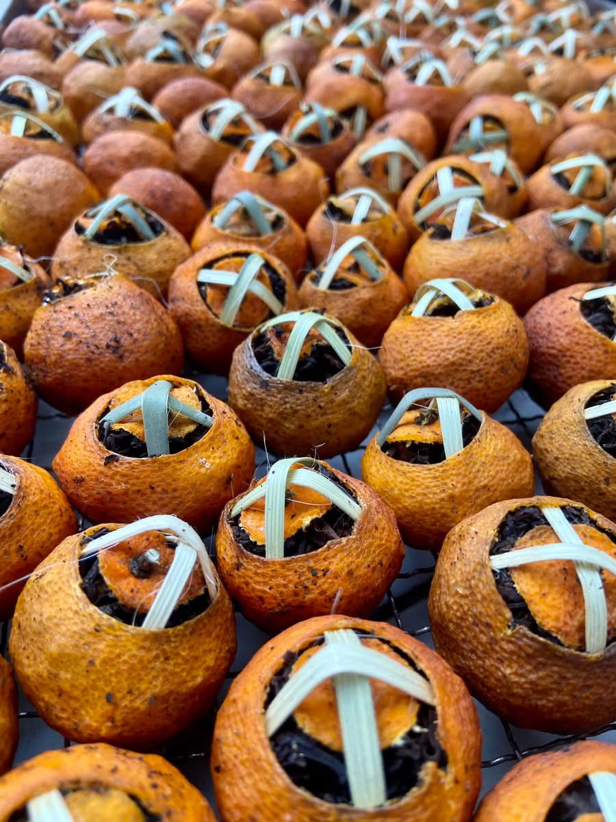 Phổ nhĩ quýt - Ảnh 6