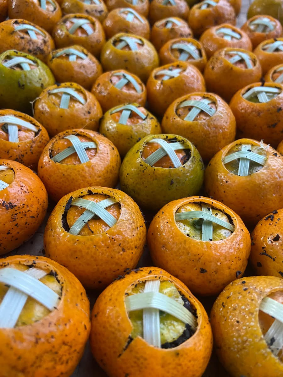 Phổ nhĩ quýt - Ảnh 7