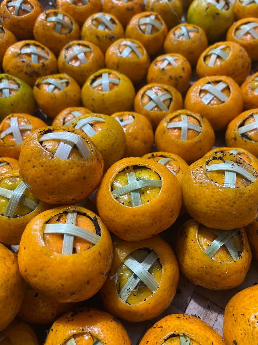 Phổ nhĩ quýt - Ảnh 8